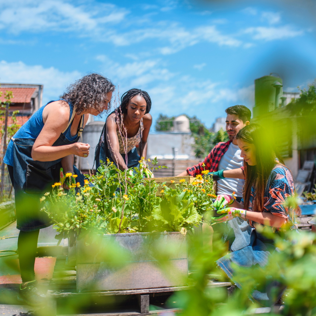 🤝 Stage Twelve: Community – Living, Loving, and Healing Together