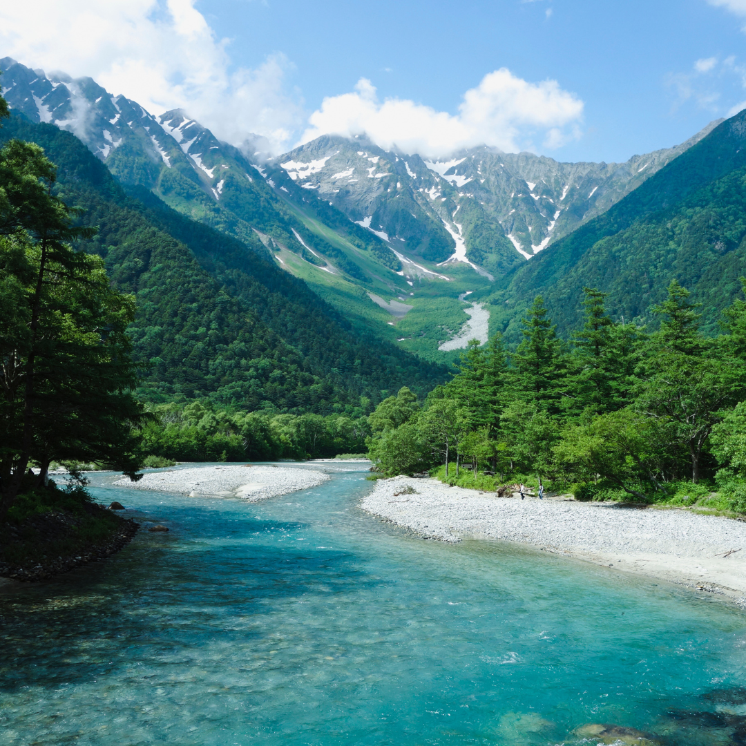 ☀️ Summer Radiance: Awakening into Wholeness